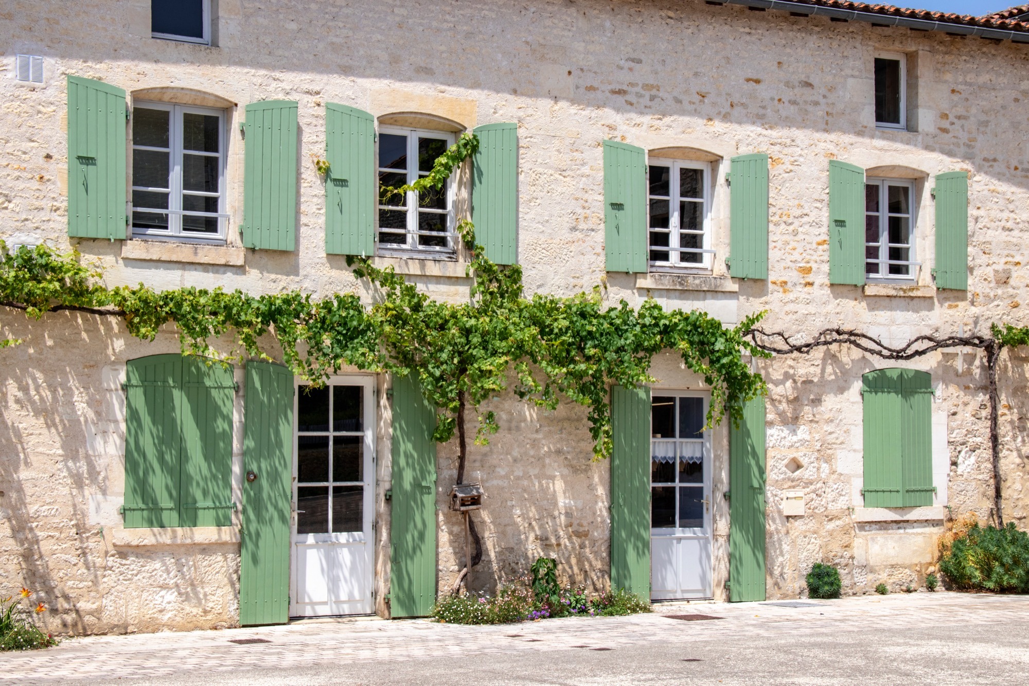 Fenêtres sur mesure Art Déco Fenêtres